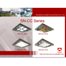 Plafonnier de cabine d&#39;ascenseur avec cadre en acier inoxydable (SN-CC-509)